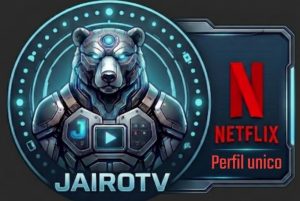 Netflix Perfil unico